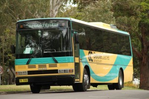 57-seater BUS (1)